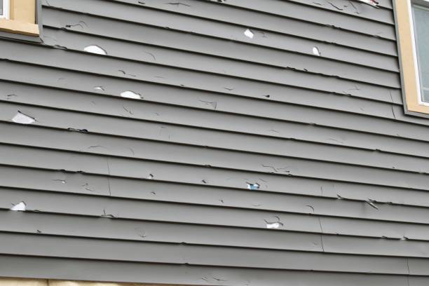 Best Engineered Wood Siding  in Eagle Mountain, UT